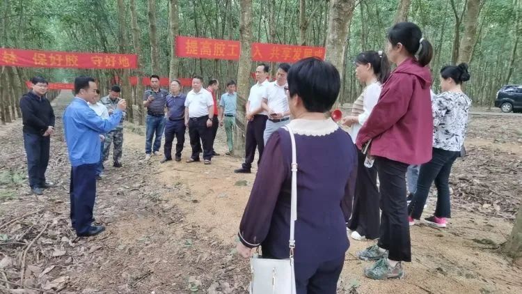 全國割膠冠軍張健給各單位學員做標準化膠園建設及割膠技術(shù)的經(jīng)驗介紹。.jpg